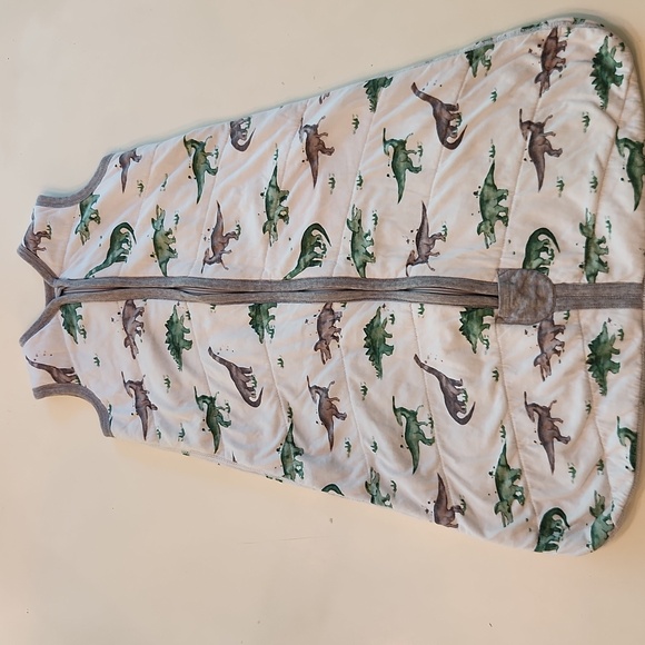 Burt's Bees Beekeepeer Dinosaur Print Sleepsack Medium 6 To 12 Months - Picture 1 of 6